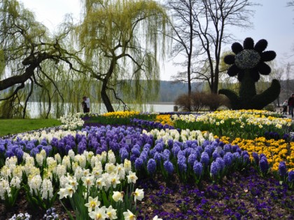 Foto: andere plätze, Mainau, Baden-Württemberg