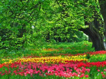 Foto: andere plätze, Mainau, Baden-Württemberg