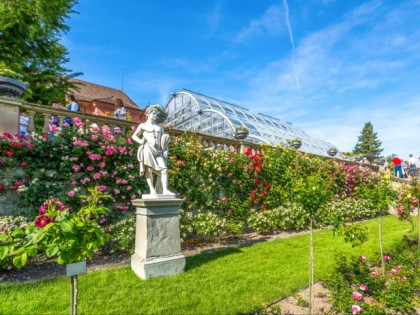 Foto: andere plätze, Mainau, Baden-Württemberg