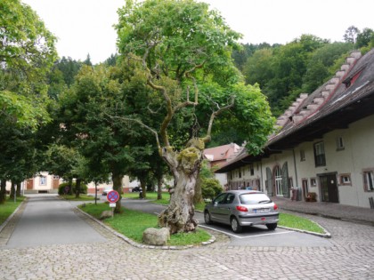 Foto: architektonische monumente, museen und ausstellungen, Abtei Lichtenthal, Baden-Württemberg