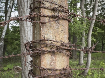 Foto: andere plätze, Buchenwald, Thüringen