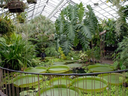 Foto: parks und unterhaltungsorte, Botanisches Garten, Thüringen