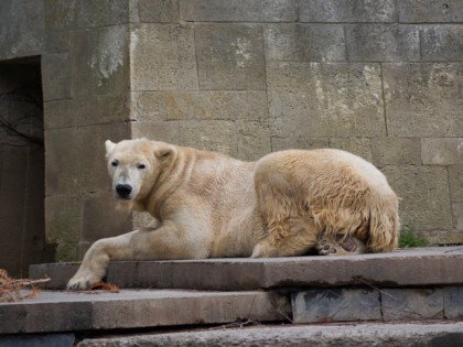 Foto: parks und unterhaltungsorte, Zoologische Garten Rostock, Mecklenburg-Vorpommern