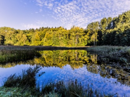 Foto: parks und unterhaltungsorte, Lindenpark, Mecklenburg-Vorpommern