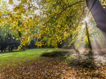 Foto: parks und unterhaltungsorte, Lindenpark, Mecklenburg-Vorpommern