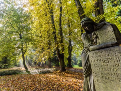 Foto: parks und unterhaltungsorte, Lindenpark, Mecklenburg-Vorpommern