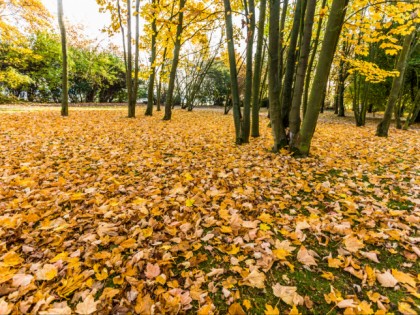 Foto: museen und ausstellungen, parks und unterhaltungsorte, IGA Park Rostock, Mecklenburg-Vorpommern