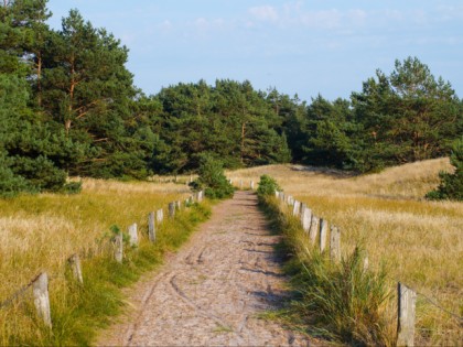 Foto: parks und unterhaltungsorte, Vorpommersche Boddenlandschaft, Mecklenburg-Vorpommern