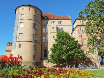 Foto: museen und ausstellungen, schlösser, burgen und paläste, Altes Schloss, Baden-Württemberg