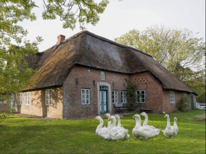 Foto: andere plätze, , Schleswig-Holstein