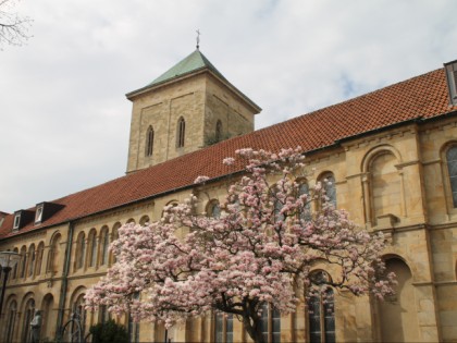 Foto: architektonische monumente, Dom St. Peter, Niedersachsen