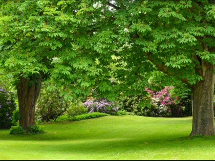 Foto: parks und unterhaltungsorte, andere plätze, Luisenpark Mannheim, Baden-Württemberg