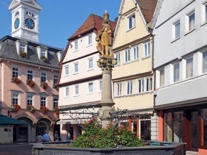 Foto: architektonische monumente, museen und ausstellungen, Historisches Rathaus & Urweltsmuseum, Baden-Württemberg