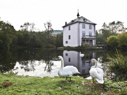 Foto: schlösser, burgen und paläste, Trappenseeschlösschen, Baden-Württemberg