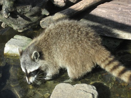 Foto: parks und unterhaltungsorte, Zoo am Meer Bremerhaven, Bremen