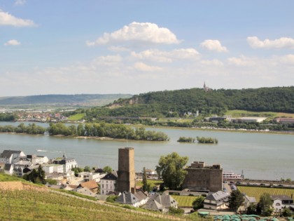 Foto: museen und ausstellungen, schlösser, burgen und paläste, Schloss Brömserburg, Rheingauer Weinmuseum, Hessen