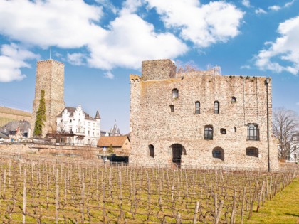 Foto: museen und ausstellungen, schlösser, burgen und paläste, Schloss Brömserburg, Rheingauer Weinmuseum, Hessen