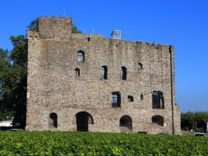 Foto: museen und ausstellungen, schlösser, burgen und paläste, Schloss Brömserburg, Rheingauer Weinmuseum, Hessen