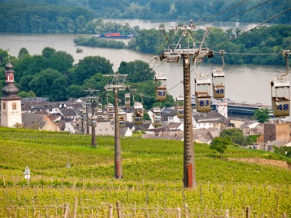 Foto: architektonische monumente, parks und unterhaltungsorte, Niederwalddenkmal, Hessen