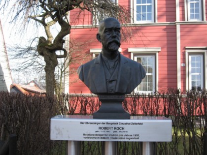 Foto: museen und ausstellungen, Robert Koch Museum, Niedersachsen