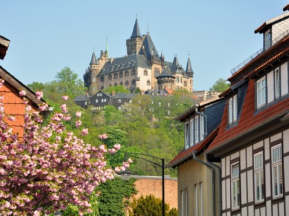 Foto: museen und ausstellungen, schlösser, burgen und paläste, Schloss Wernigerode, Sachsen-Anhalt