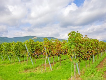 Foto: museen und ausstellungen, schlösser, burgen und paläste, Hambacher Schloss, Rheinland-Pfalz