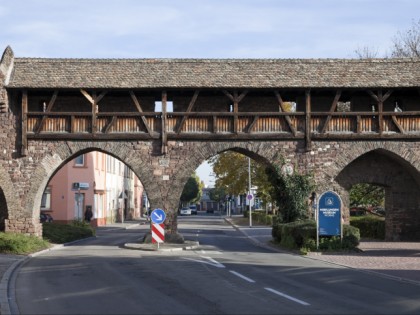 Foto: museen und ausstellungen, schlösser, burgen und paläste, Nibelungen Museum, Rheinland-Pfalz