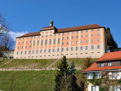 Foto: museen und ausstellungen, schlösser, burgen und paläste, Meersburg Neues Schloss, Baden-Württemberg